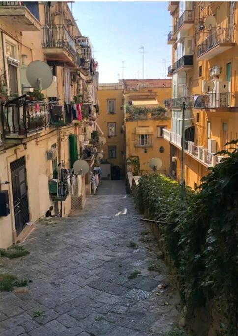 Apartment House Vetriera *