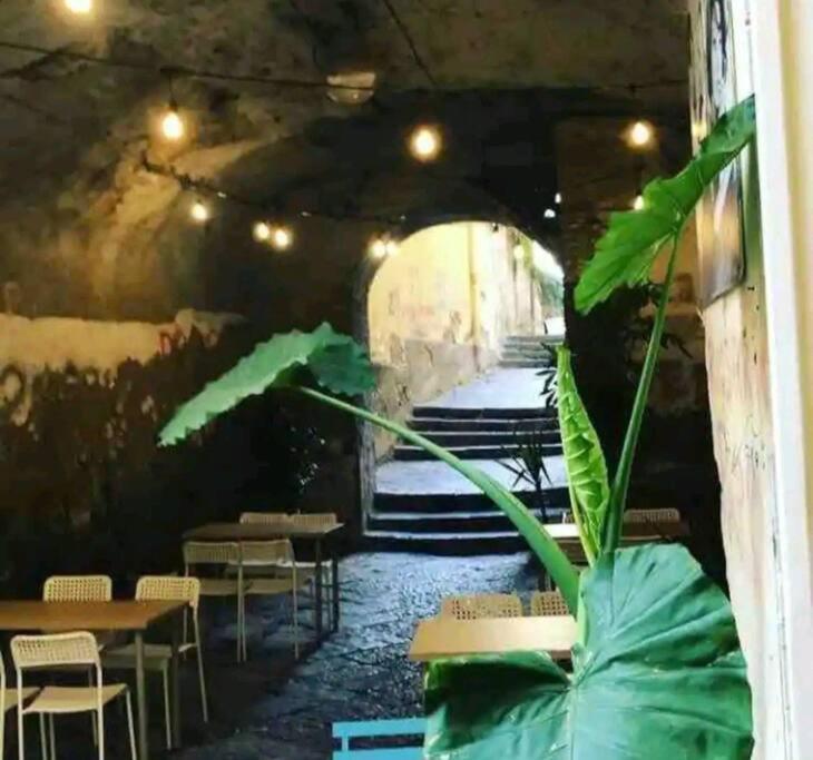 House Vetriera * Naples